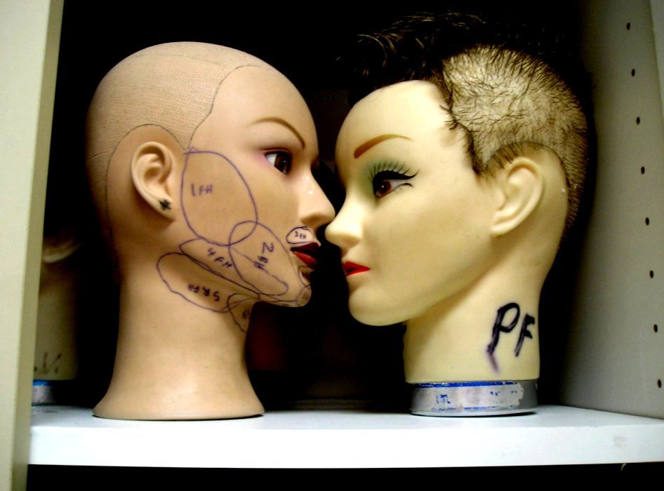 two mannequin heads with their hair styled like the backs
