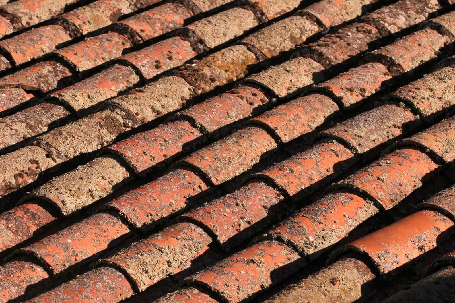 a closeup view of many red and brown bricks