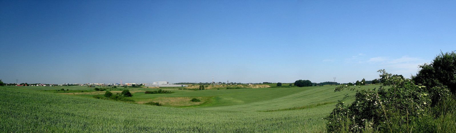 a large field of grass with trees on the far side