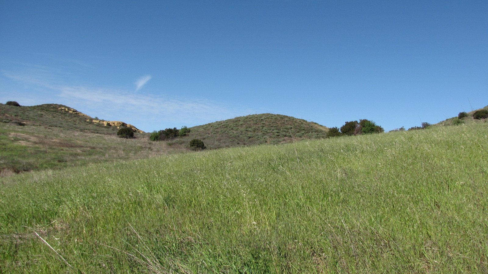 an area of green grass and a blue sky