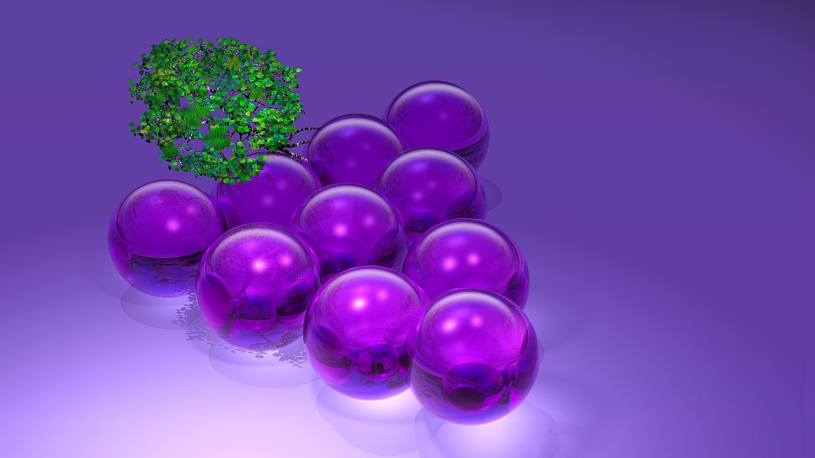 some purple balls sitting beside a small tree