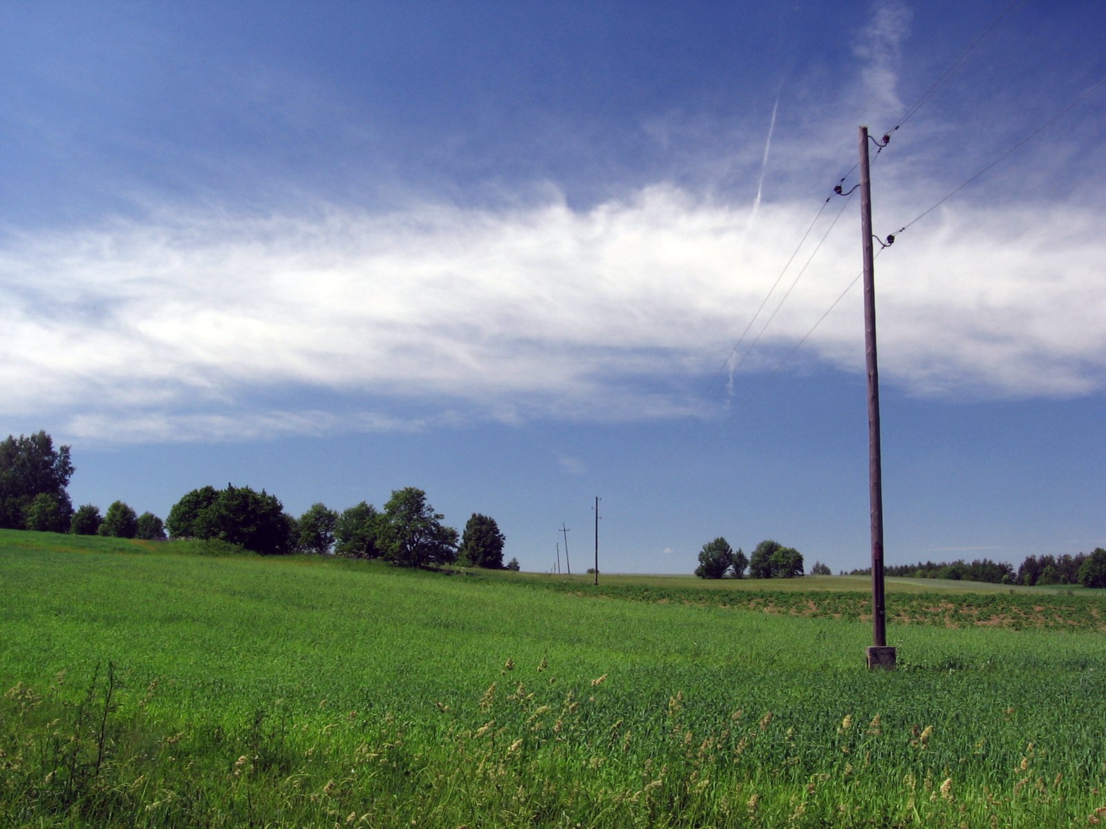 telephone pole standing in a green field and a single pole sitting between them