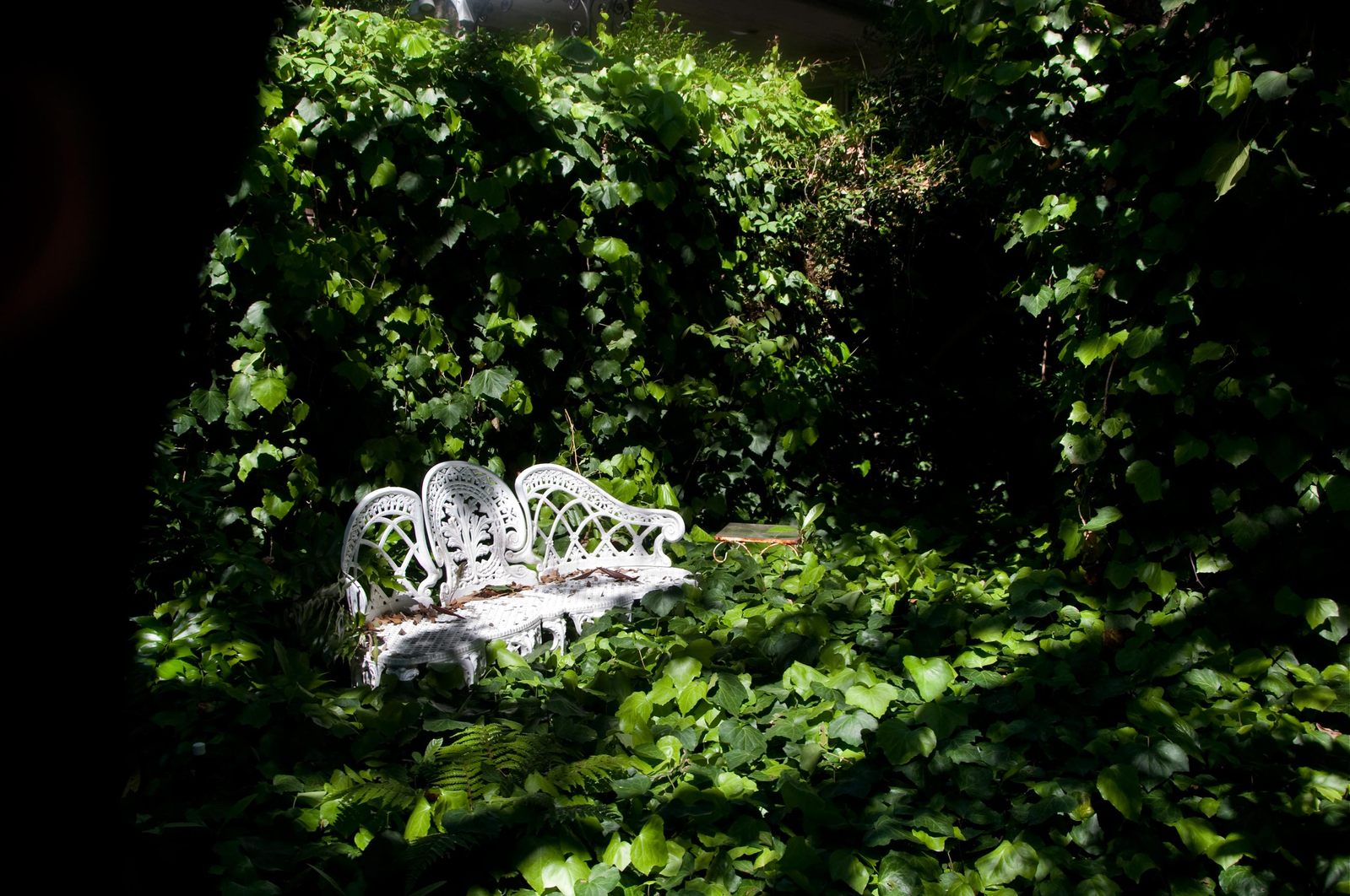 a white bench surrounded by green leaves in the shade