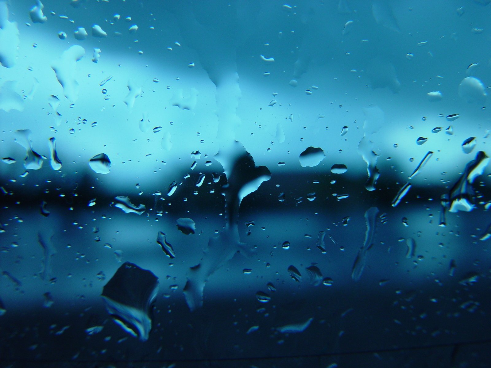 a po taken through a glass showing water drops