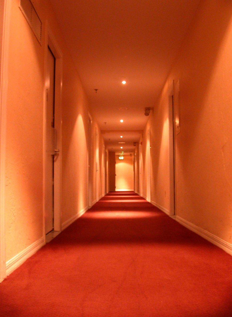 there are very long red carpeted corridors in this building