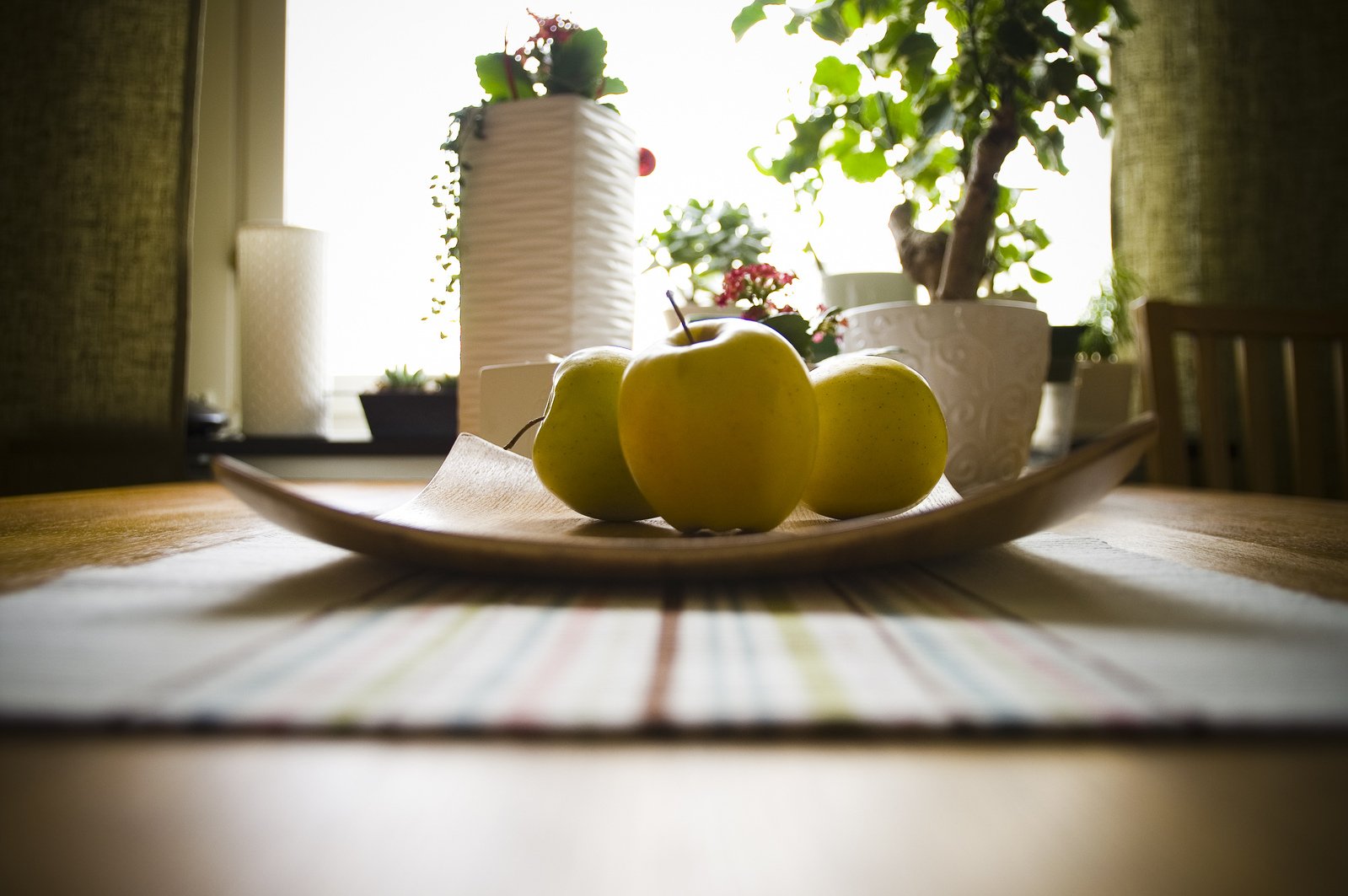 three yellow apples sitting on a plate with plants in the background