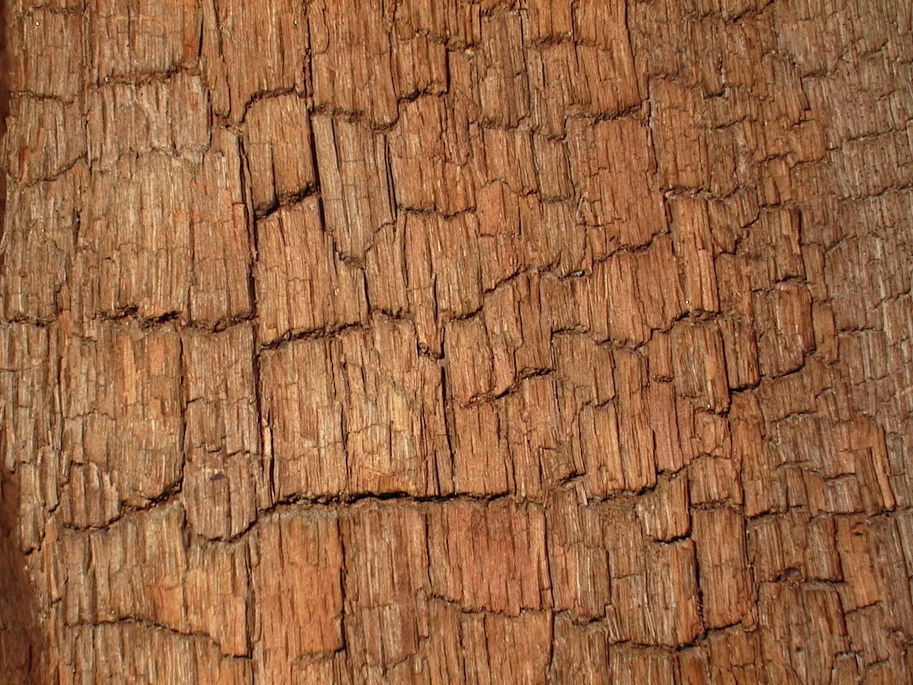 closeup view of a wood textured surface