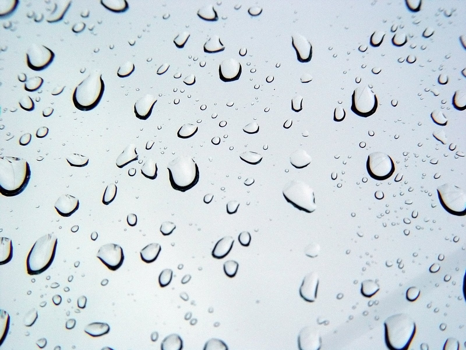 a view from below of water droplets on the window