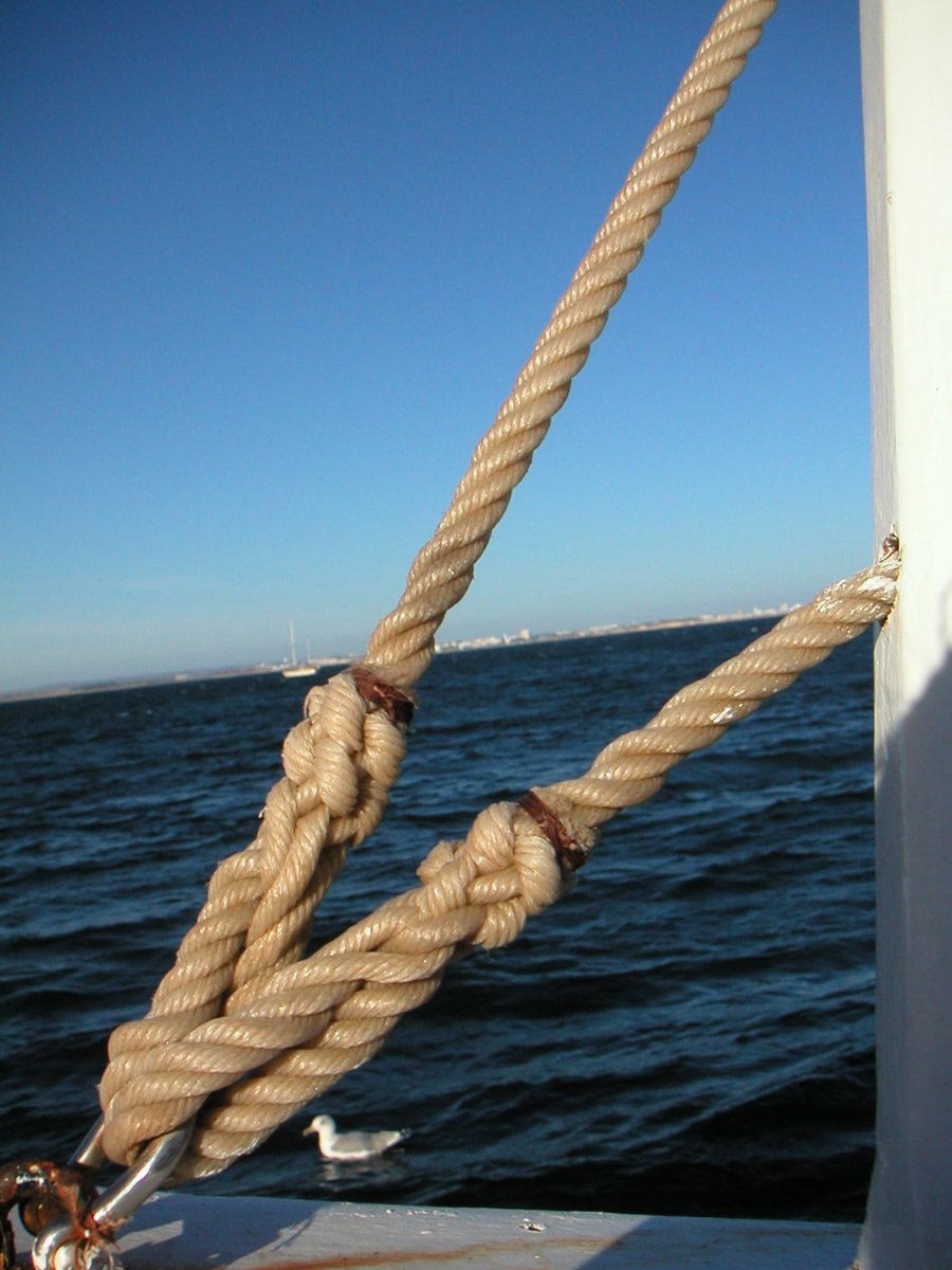 a rope is hanging off the side of a boat
