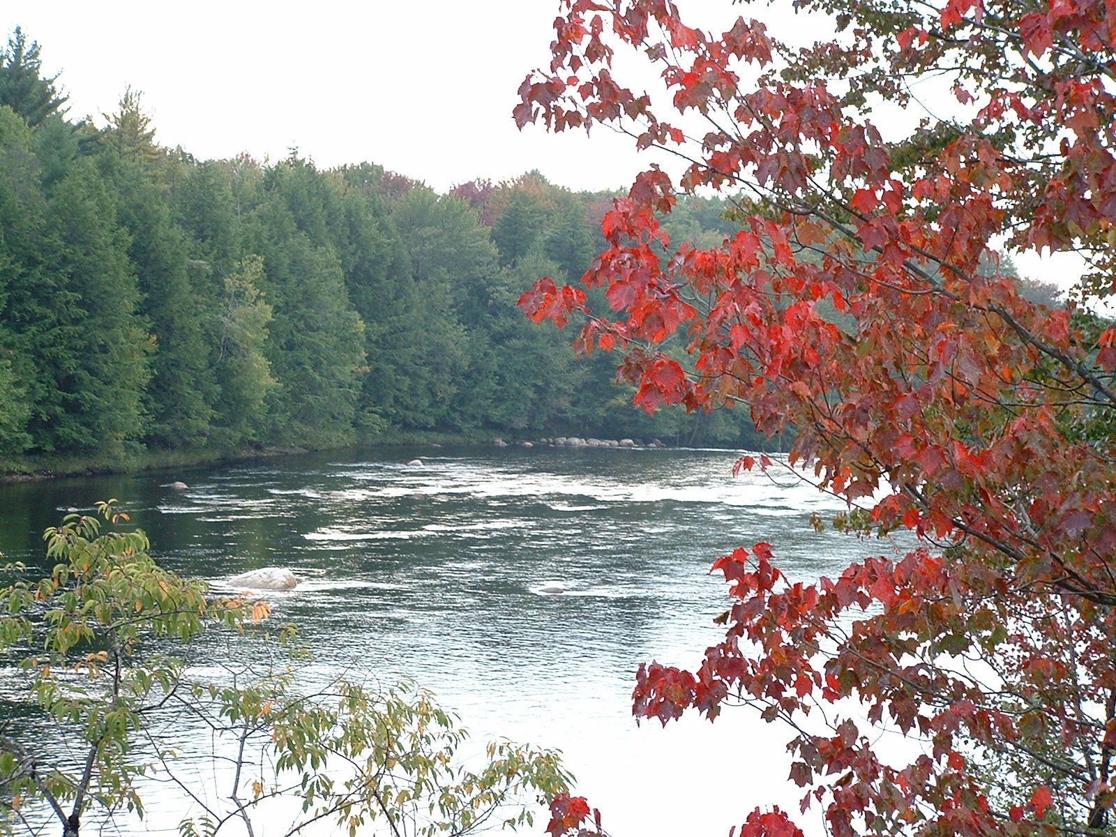 the view over the river near trees with red leaves