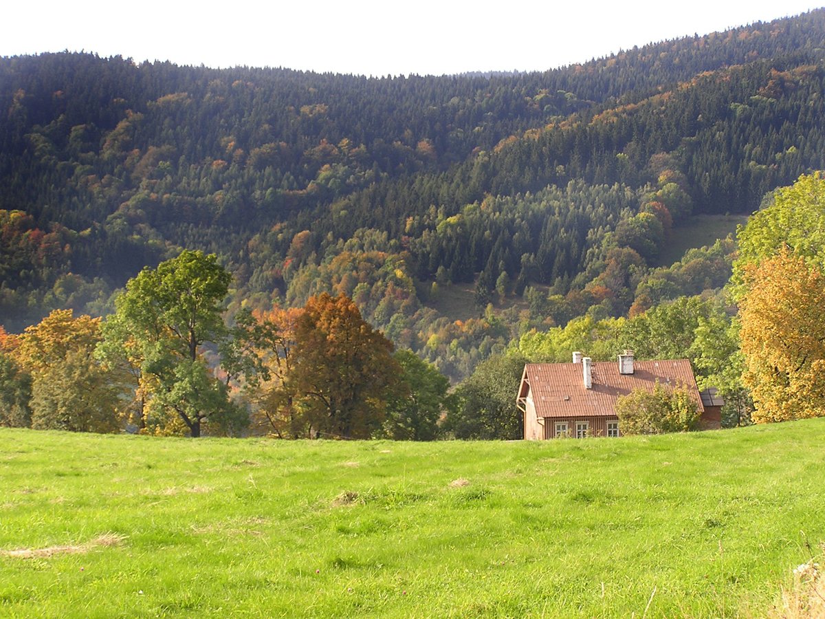 there is a small, grassy field that has some houses in it