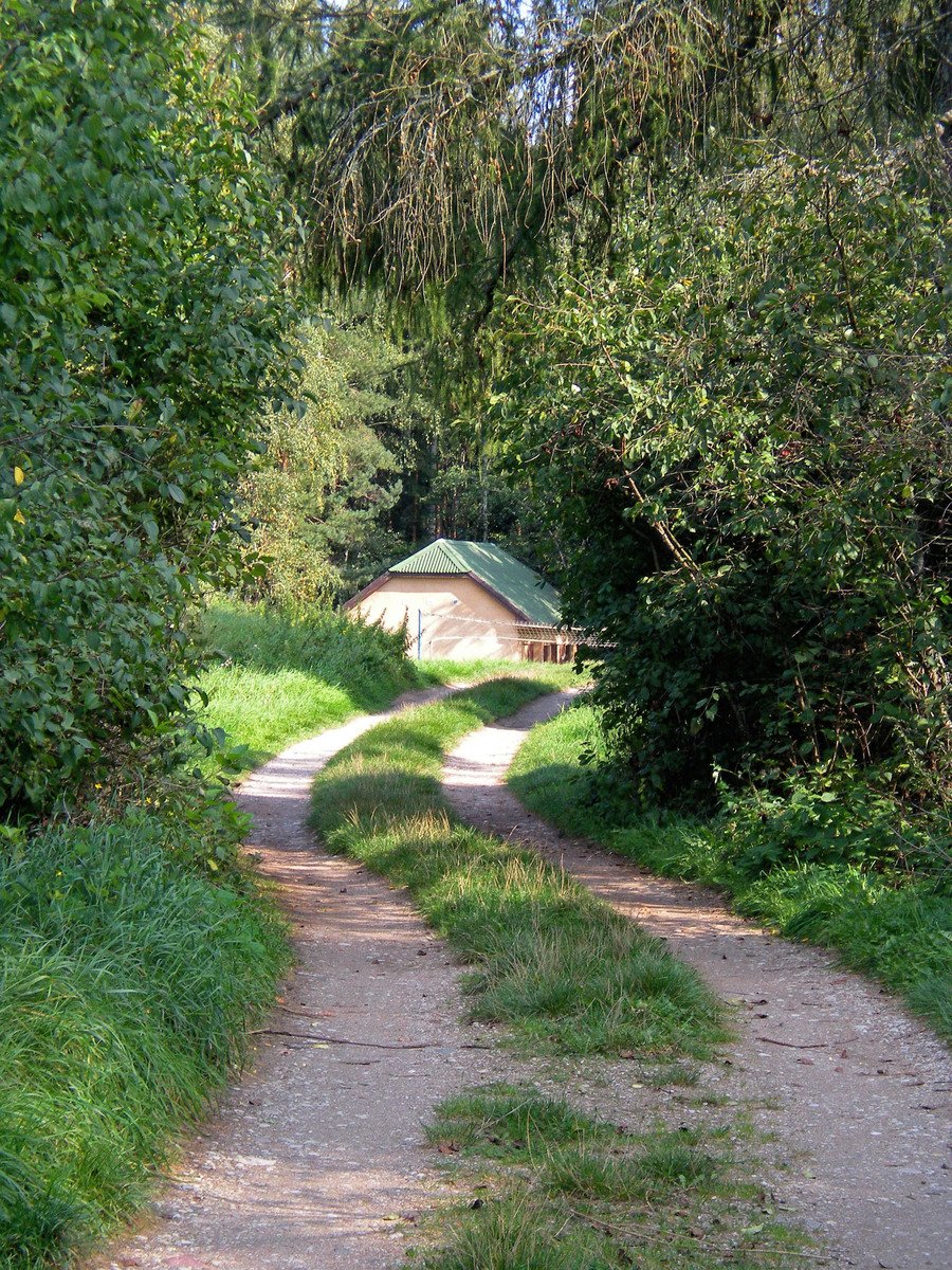 a stone pathway with a small house in the distance