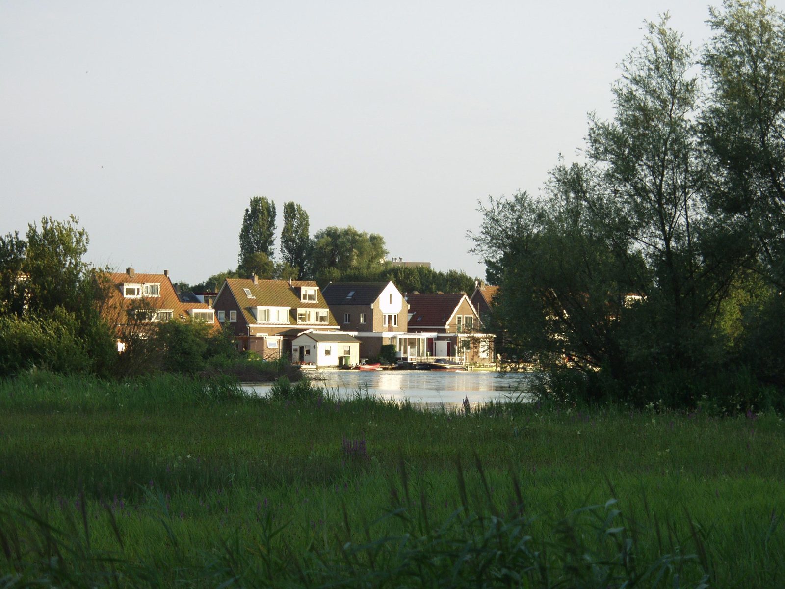 houses in a field next to a body of water