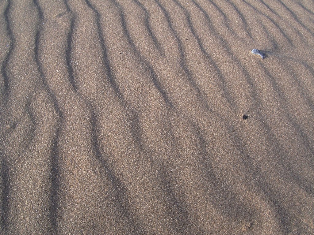 a sandy, wavyly manicured beach, with small white sand