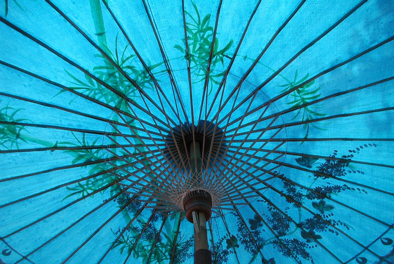 a picture of the inside of an umbrella