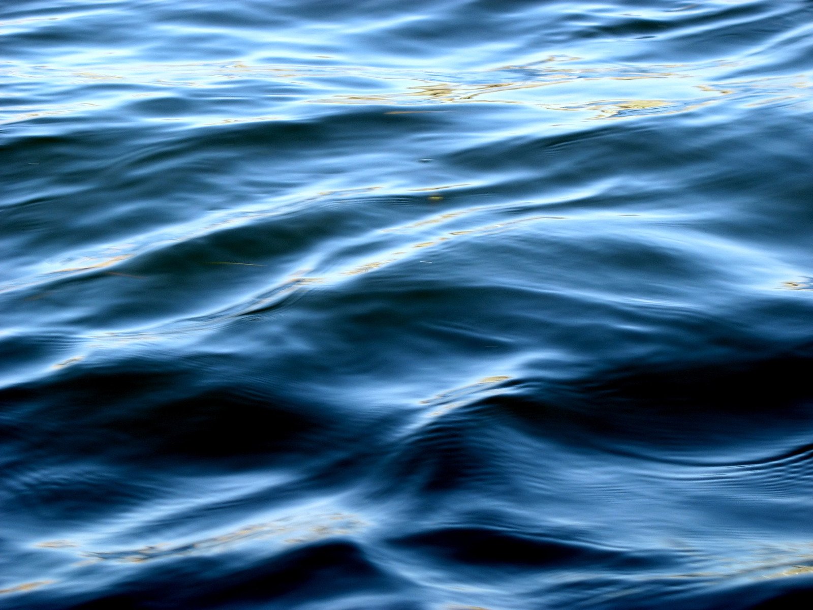 a po of the deep blue water at sea