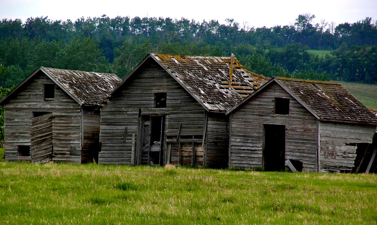 two old wooden houses sit in the field