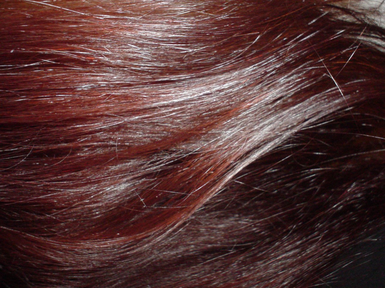 a red hair with some white streaks in it