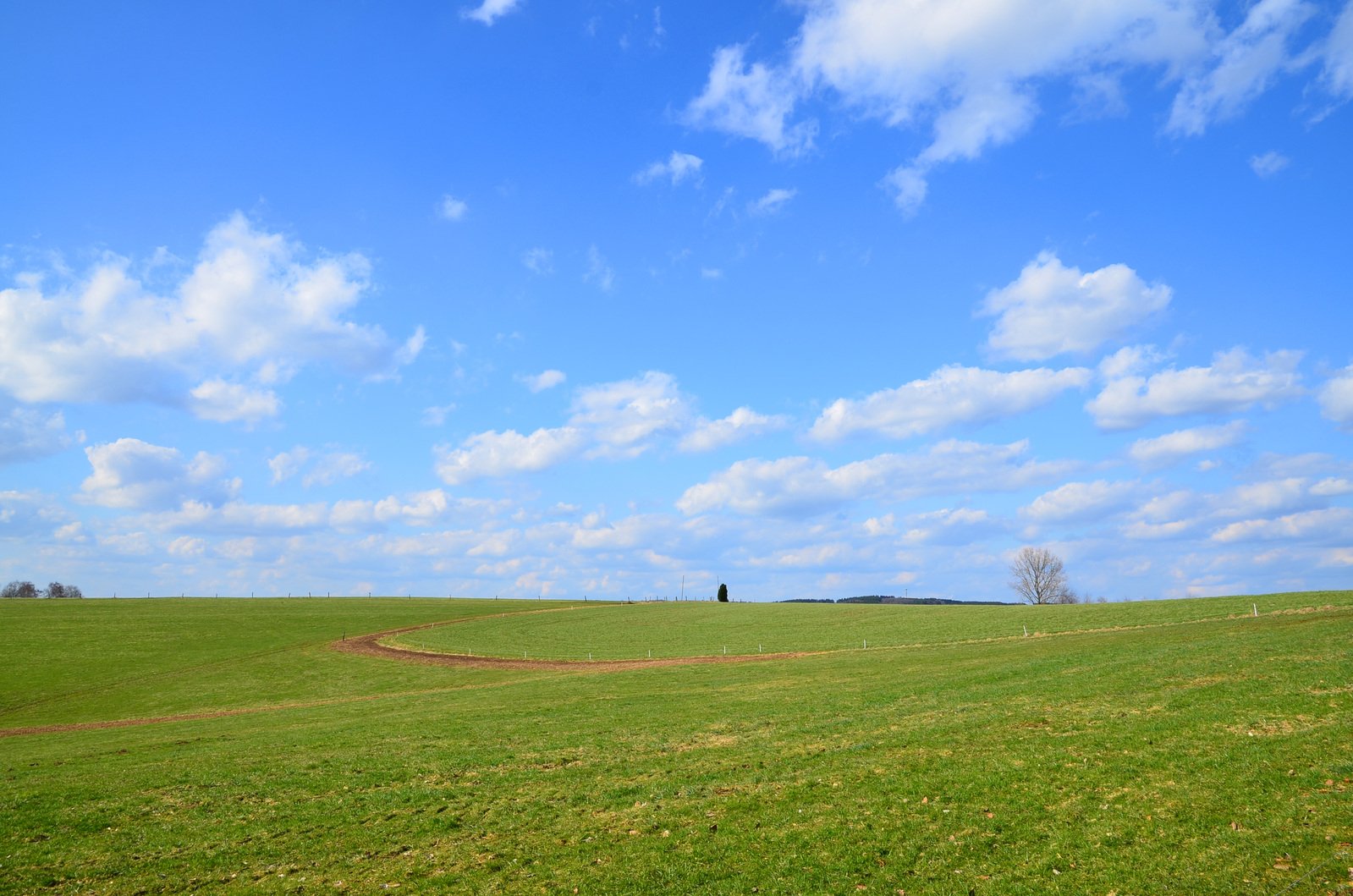 people walking on a grassy field under a blue sky