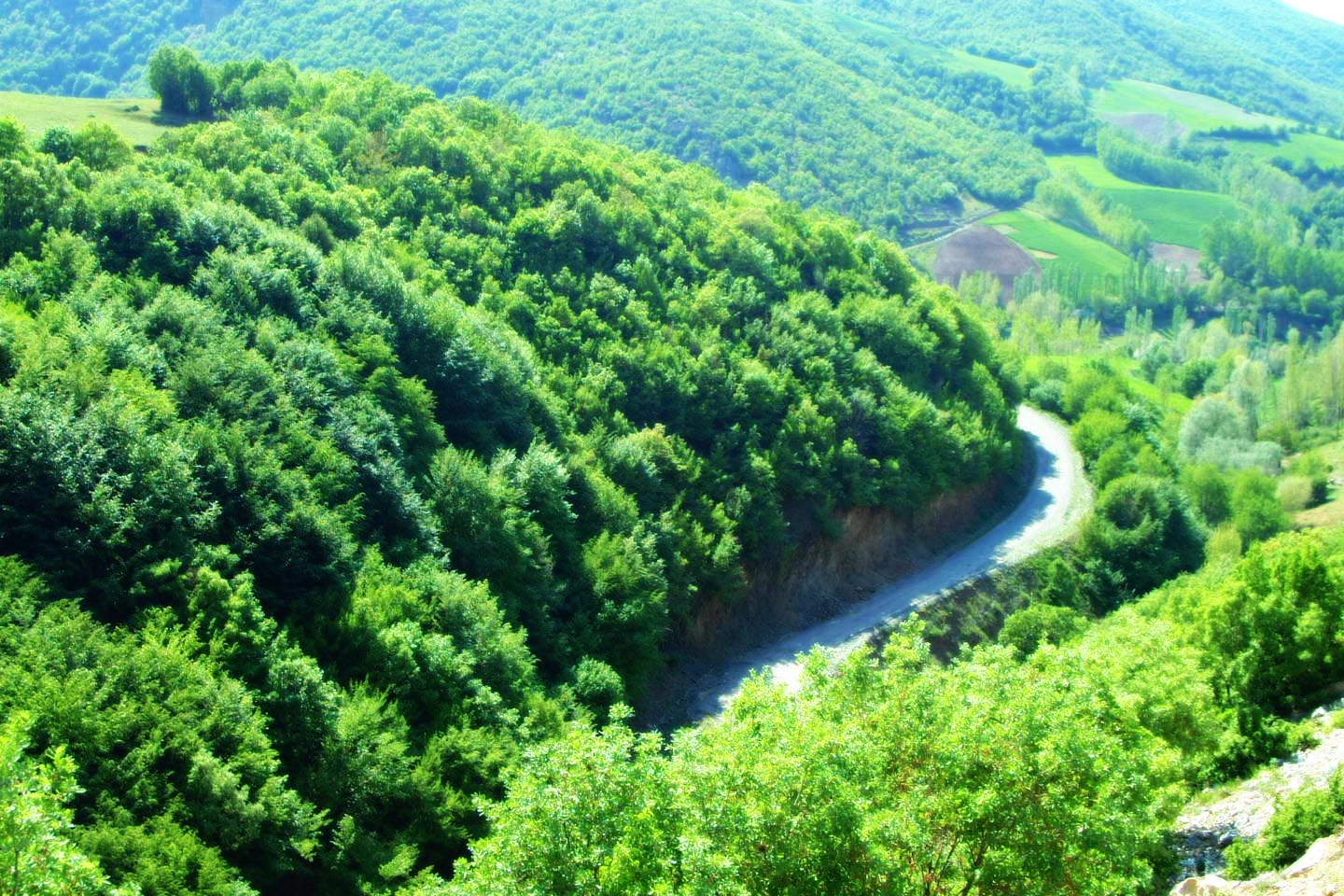 the lush green forests and river meander through a valley