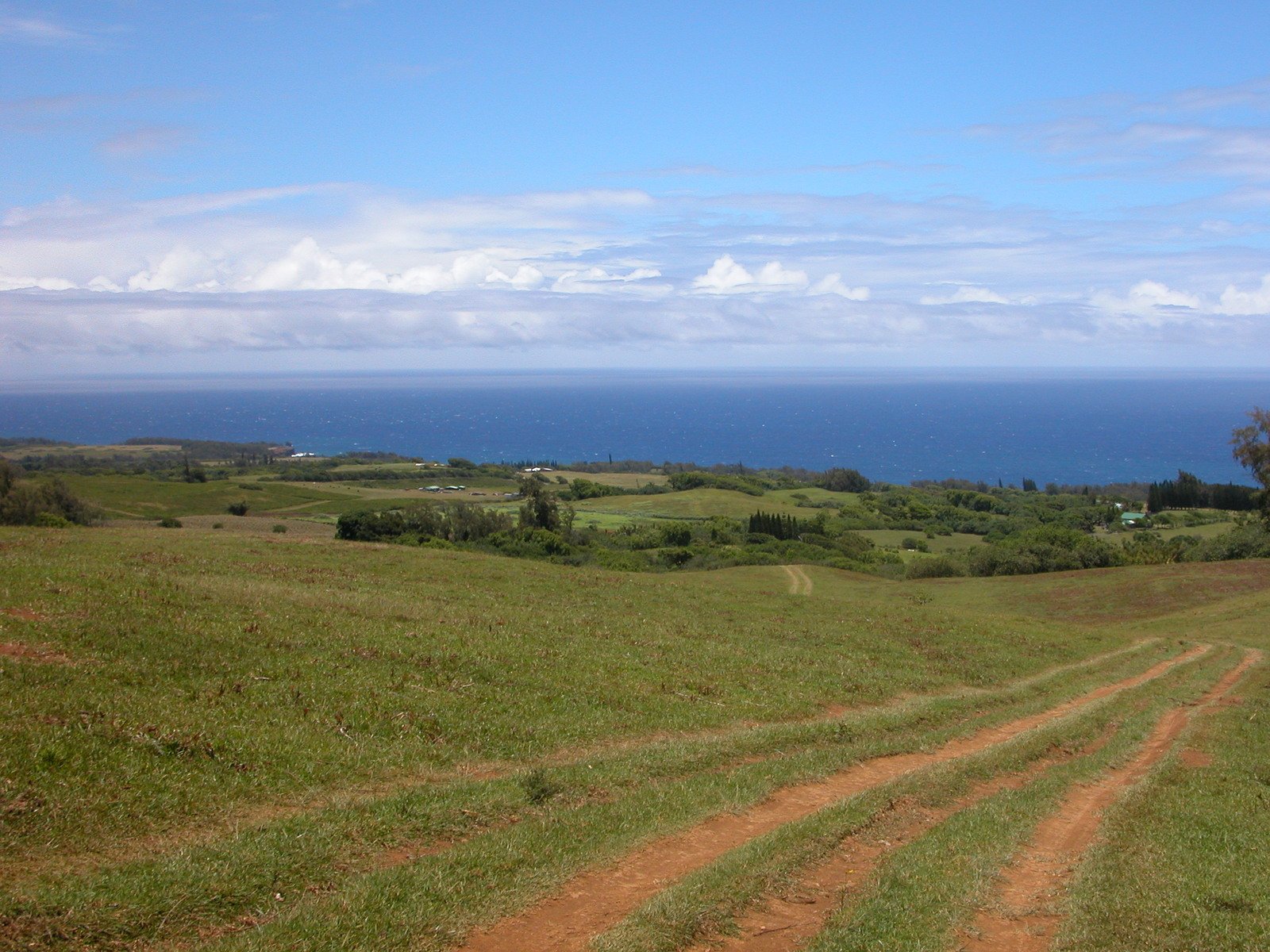 a dirt road through the field with ocean in the background