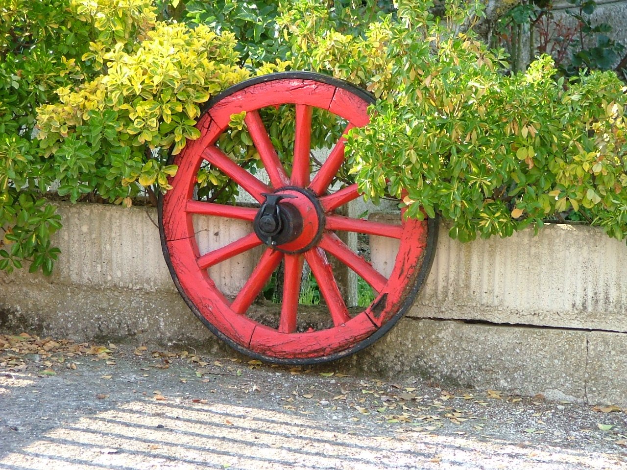 a red wheel sits in the bushes of a building