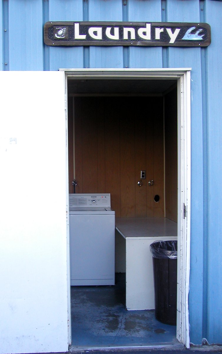 an open door to a blue shed with washing machines