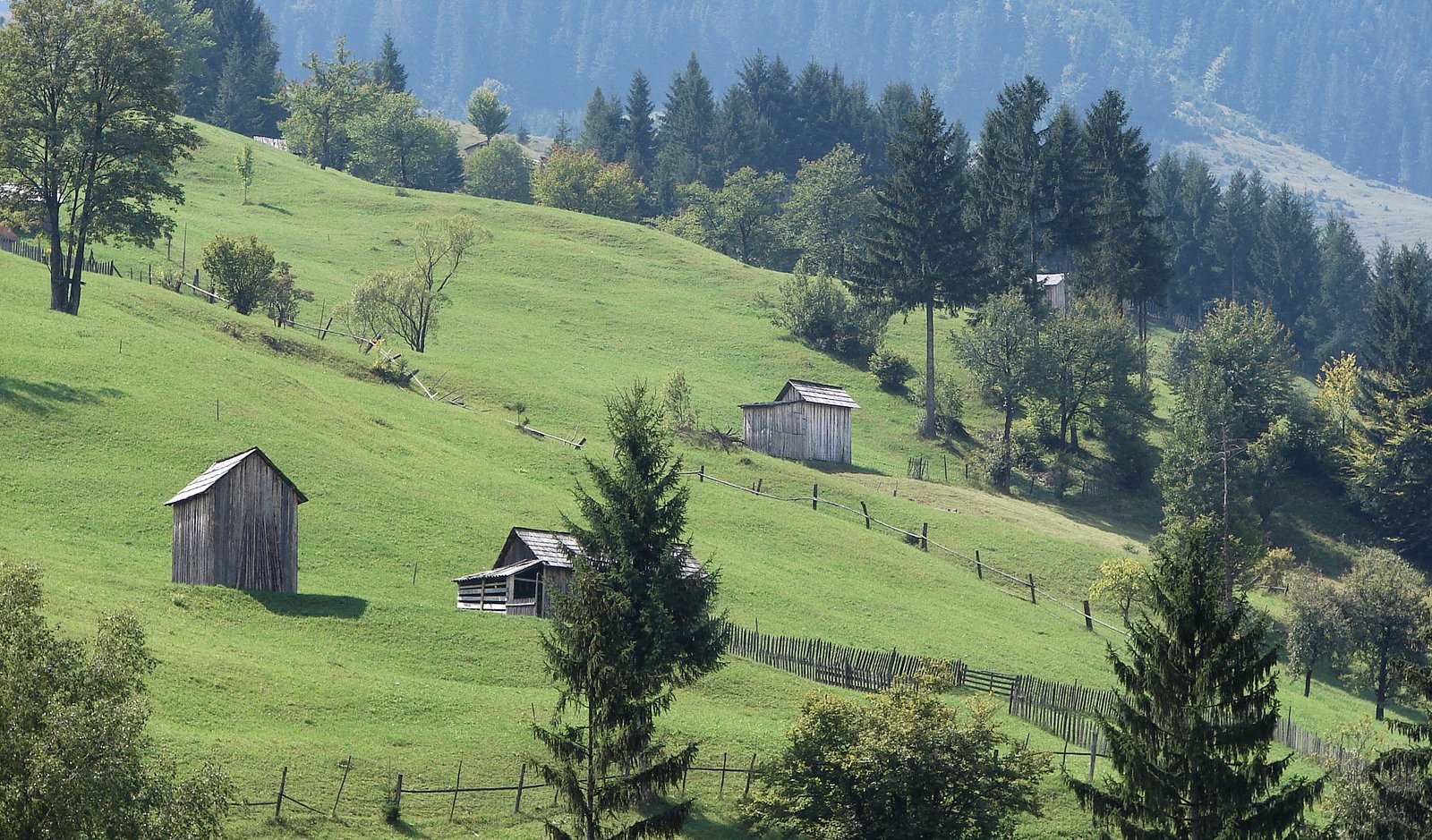 the grass covered hill has small cabins on it