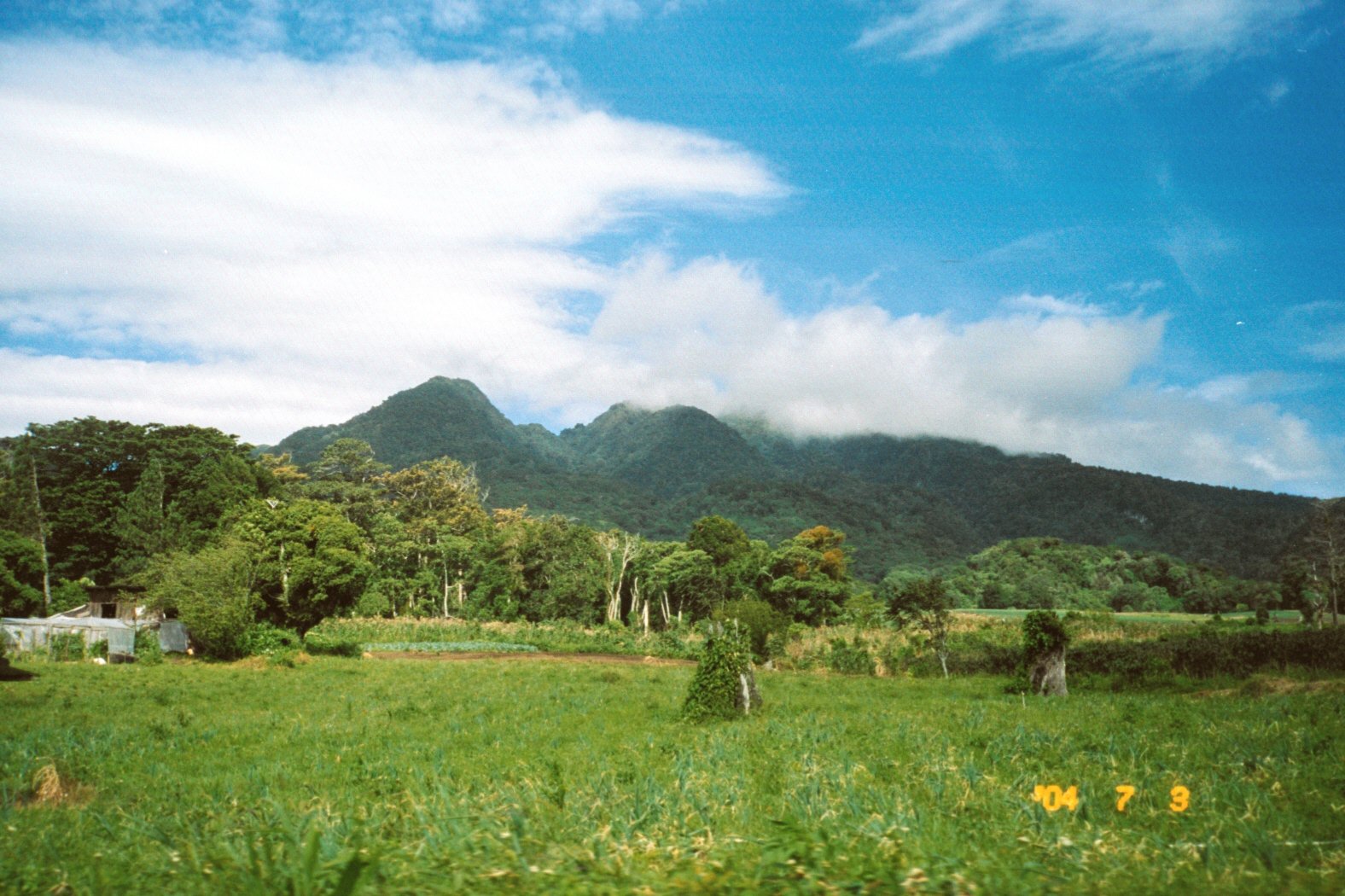 lush green fields beneath the blue sky with clouds