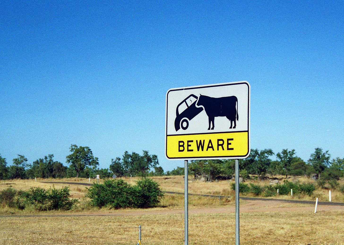 a sign with a cow in it on a road