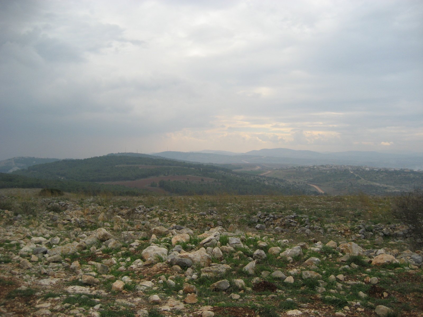 large rocks and grass covered hill next to a forest