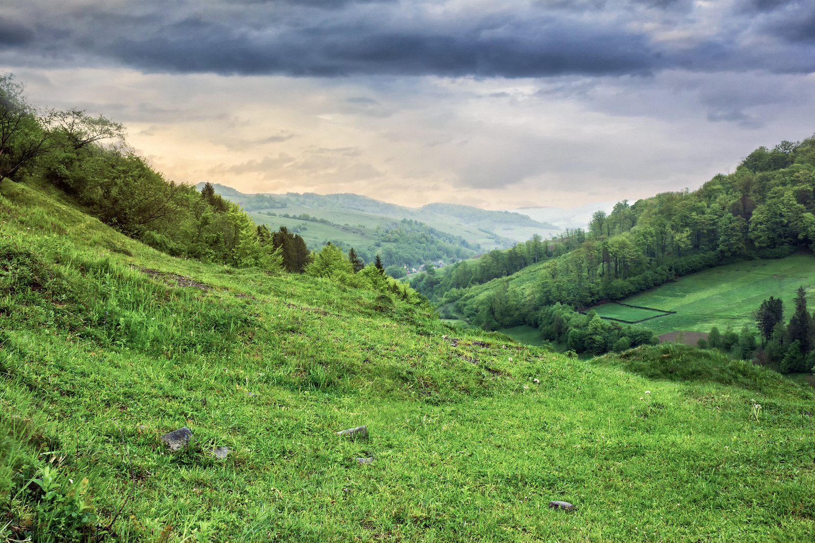 a view of a green grassy field that has many trees on it