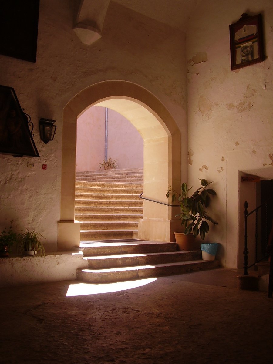 a stairway that has some plants on it