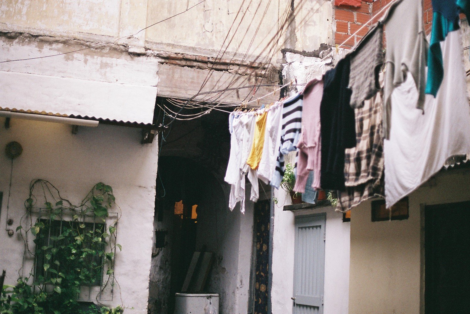 laundry line hanging over building and door area with green house