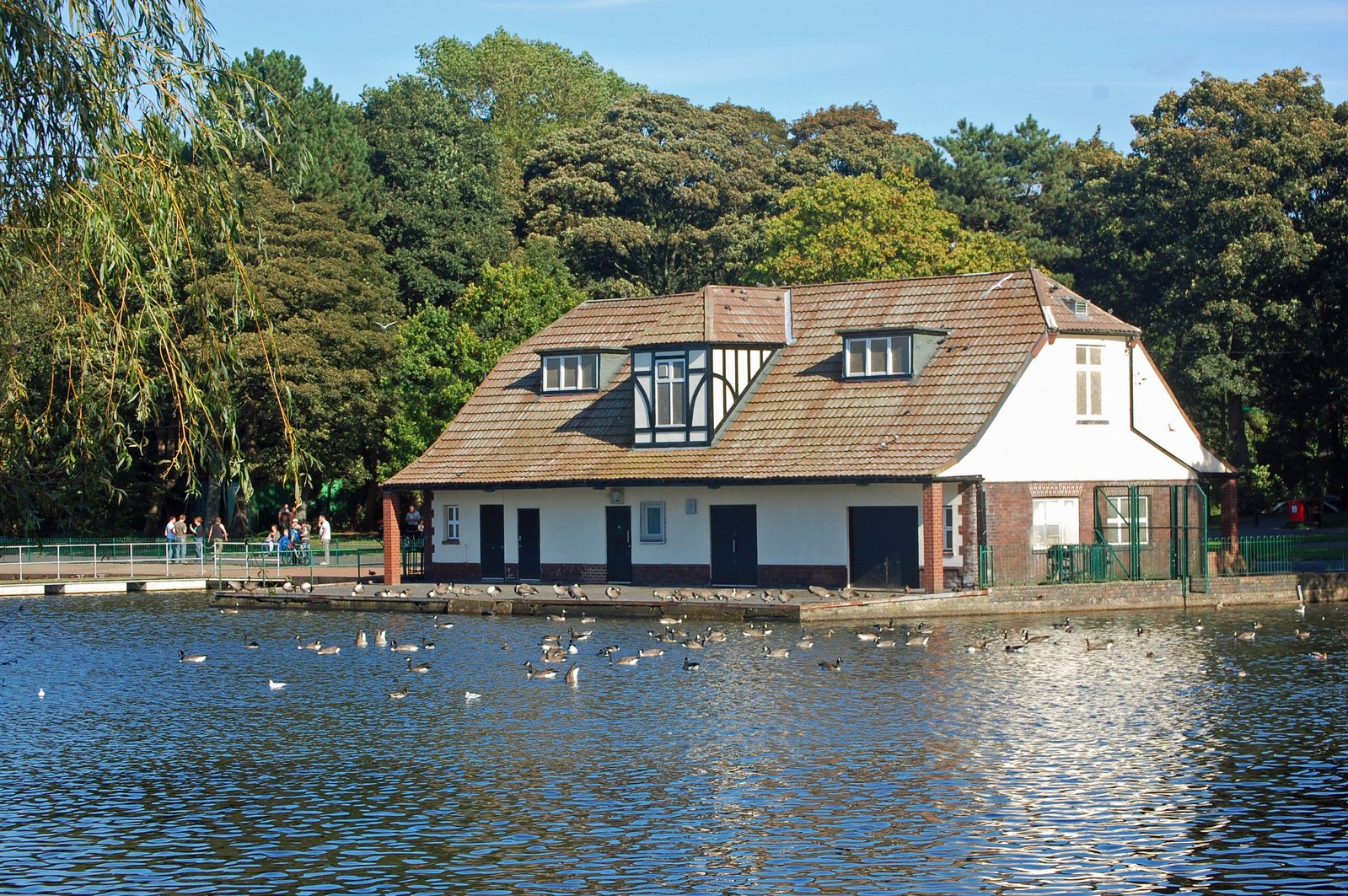 geese around a house on a body of water