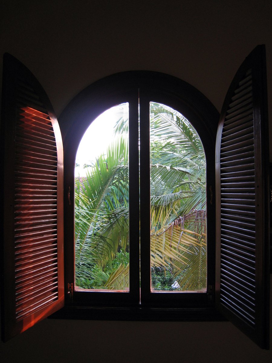 the open window of a small room with trees outside