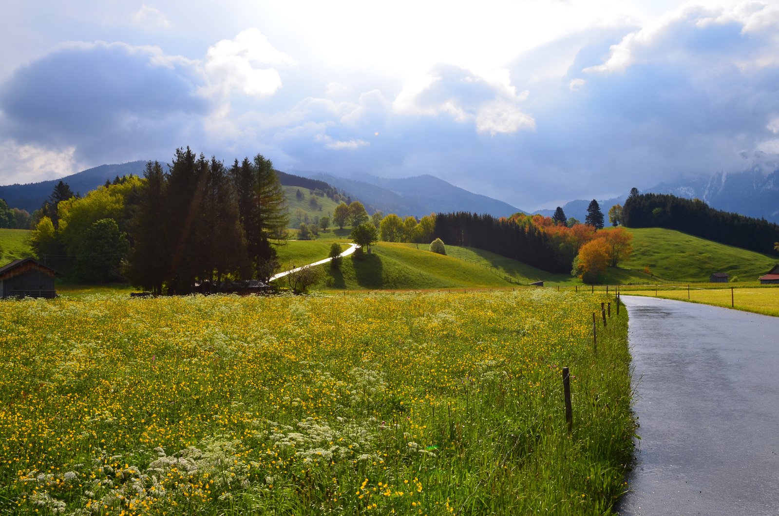 a road in the middle of a field near mountains