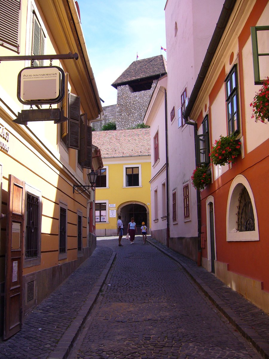 a cobble stone road in front of buildings