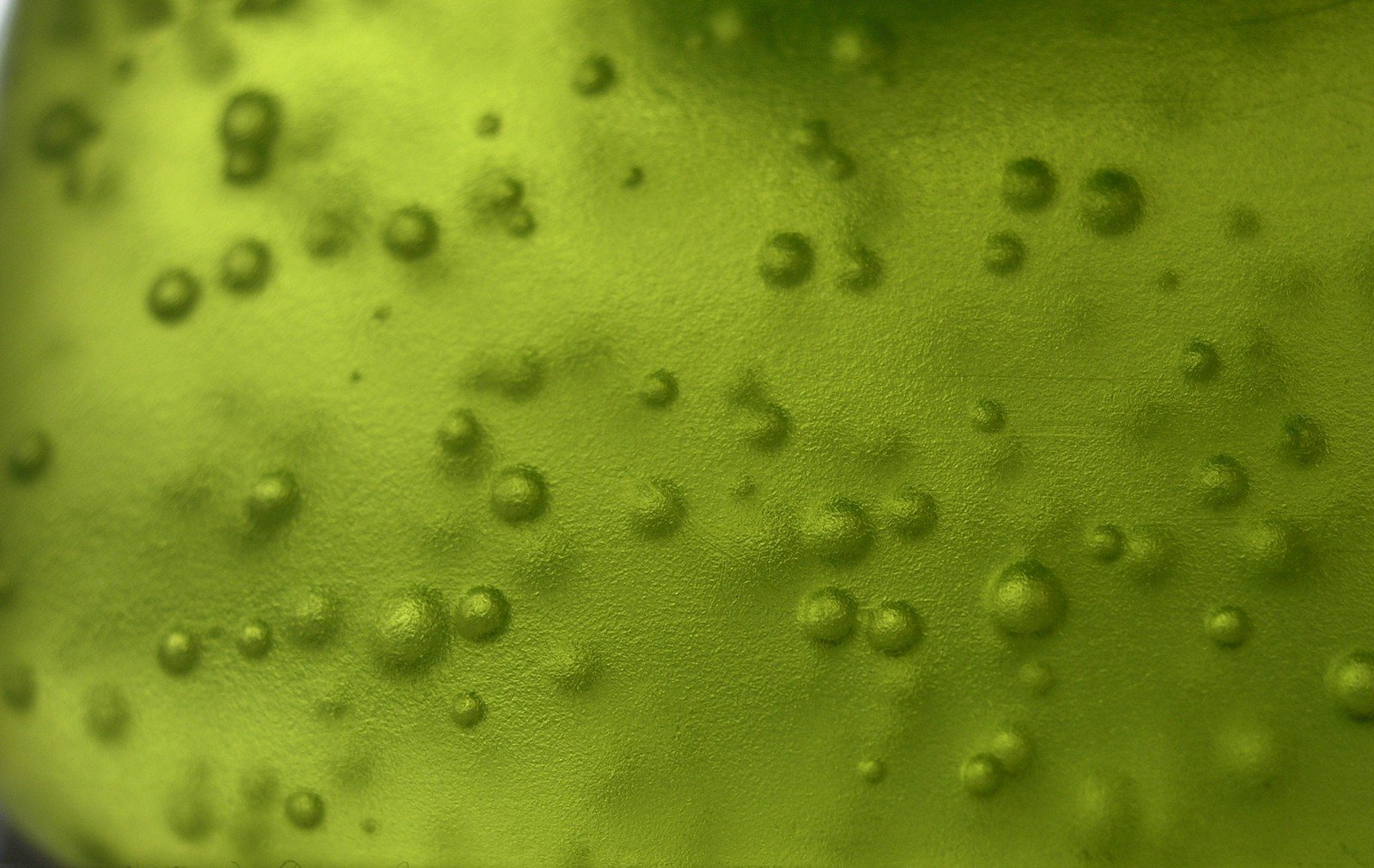 a close up of a liquid filled bottle
