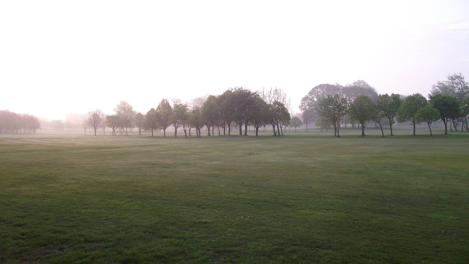 a field with trees and the foggy sky in the background