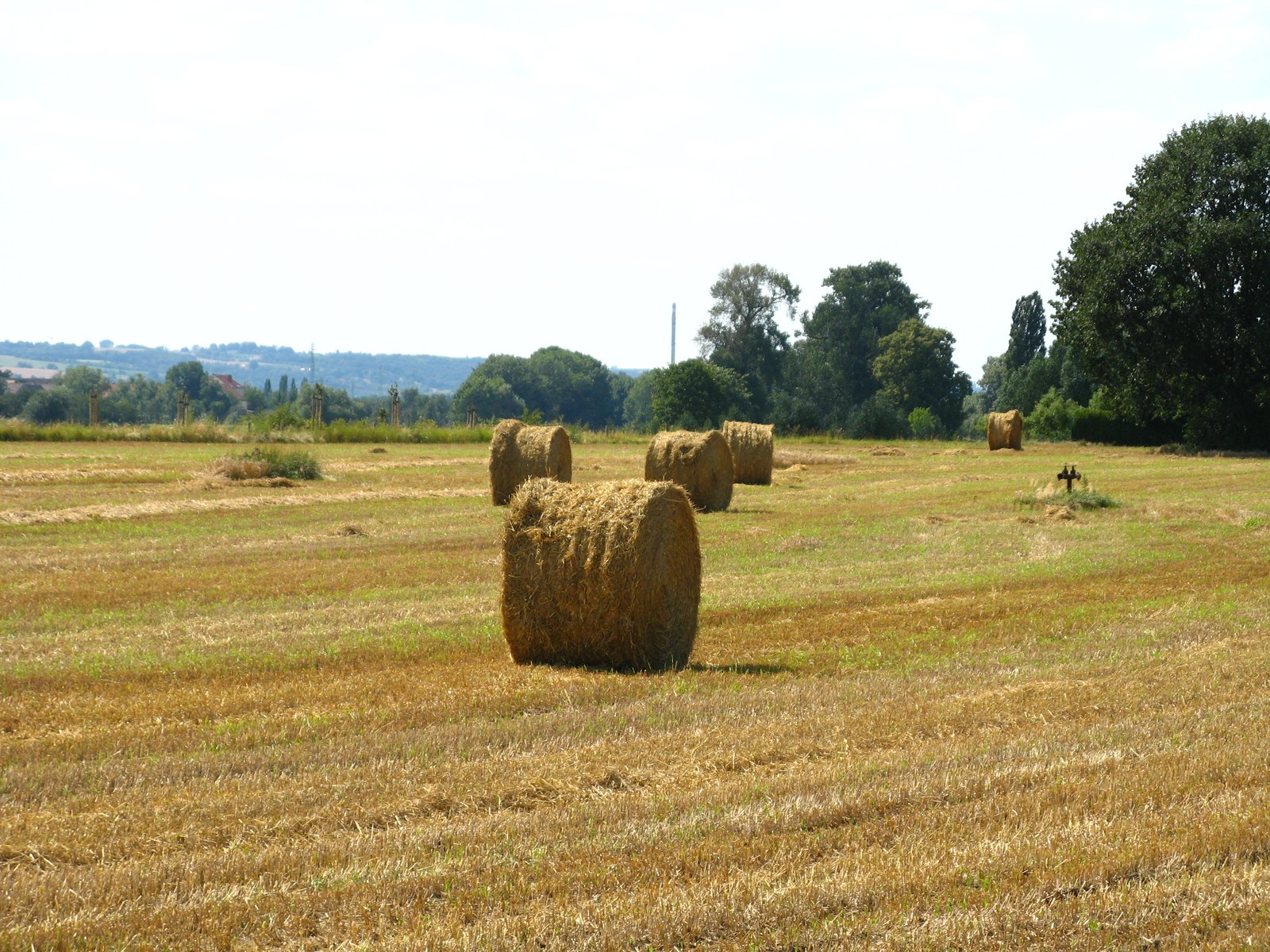 a couple of bales of hay sitting in a field
