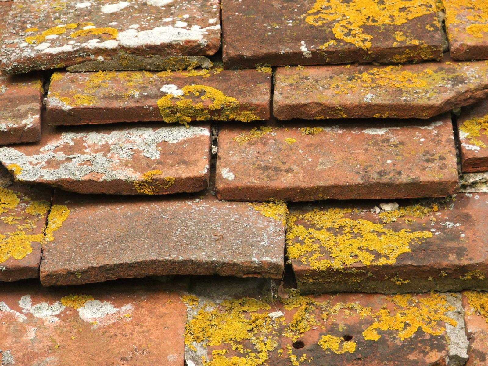 a piece of rust colored bricks covered in lichen