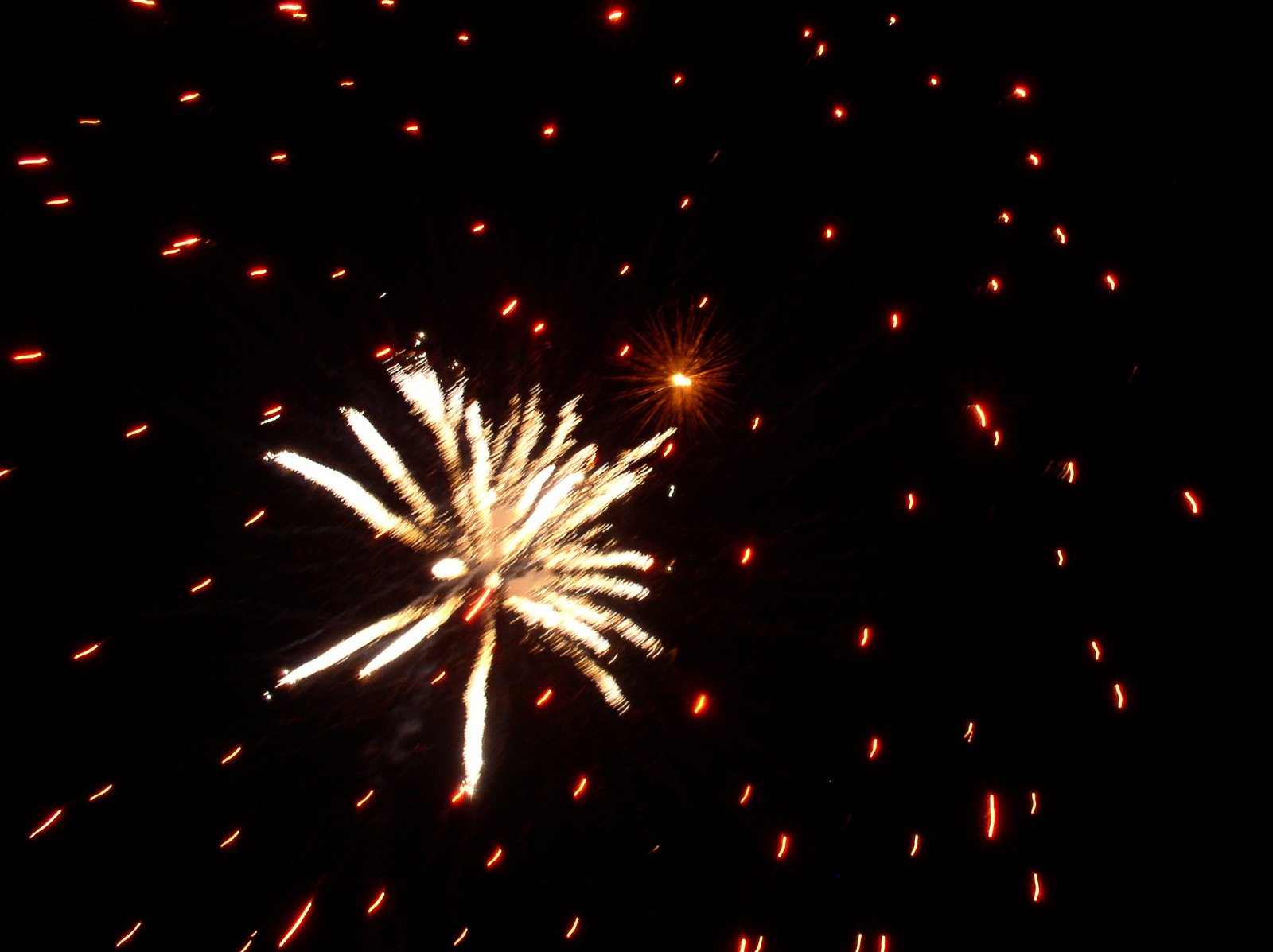 a fireworks is being lit up in the night sky