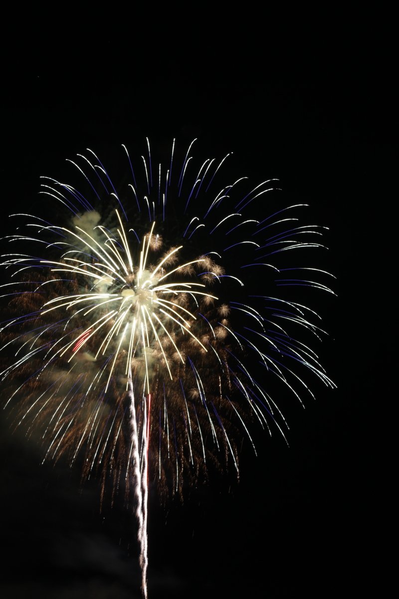 fireworks explodes in the sky with a dark background