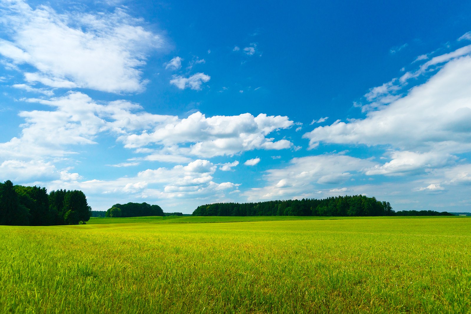 a lush green field sitting under a blue cloudy sky