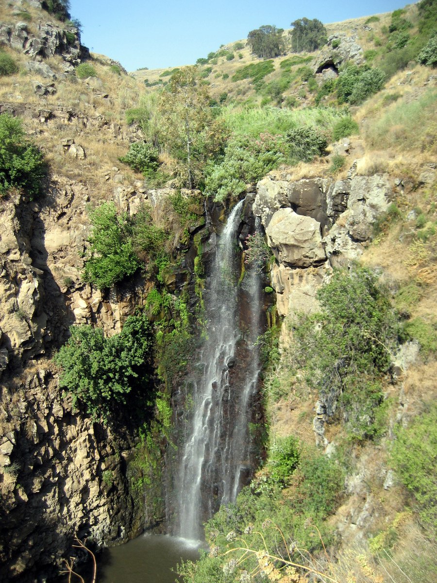 a waterfall with trees surrounding it on top of a hill