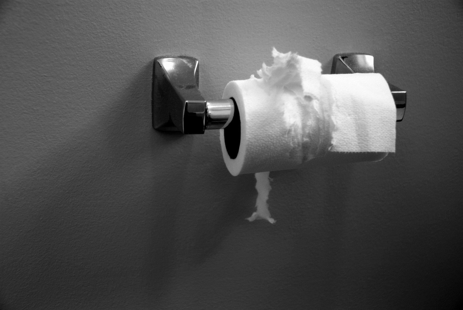 a white toilet paper roll hangs from the wall