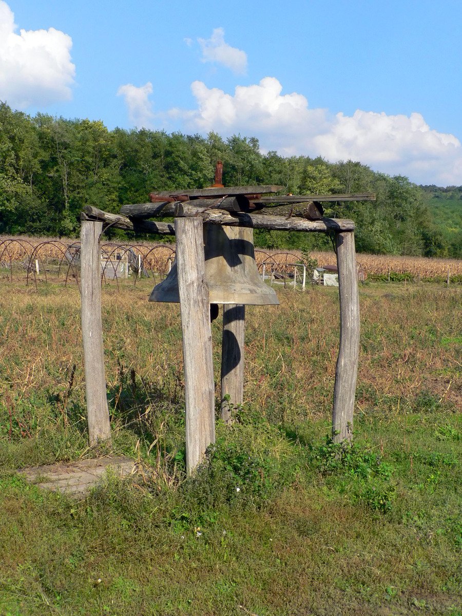 a wooden post is in the middle of a grassy field