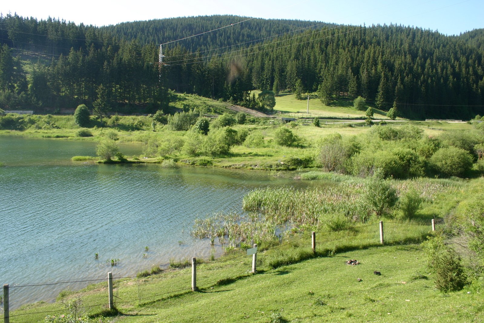 a green field and large body of water in front of some mountains