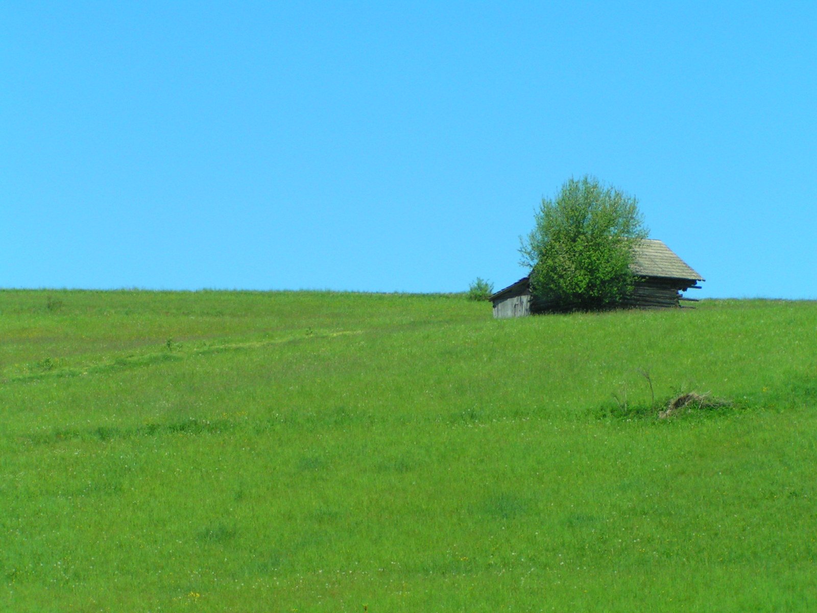 green grassy hill with a barn and shed on top